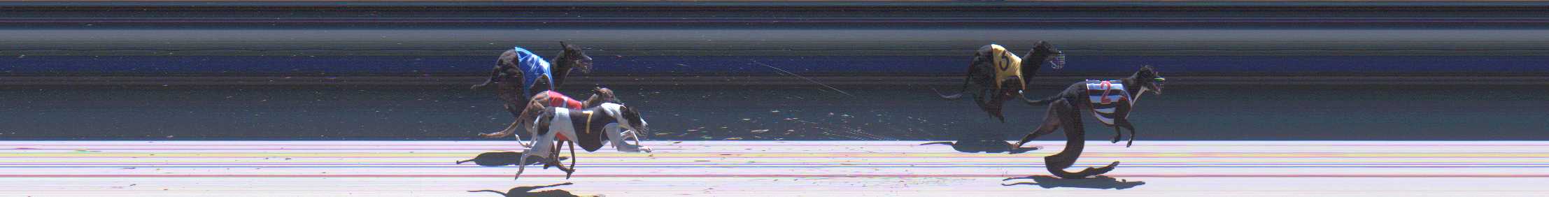Photo finish for Sale Race 2