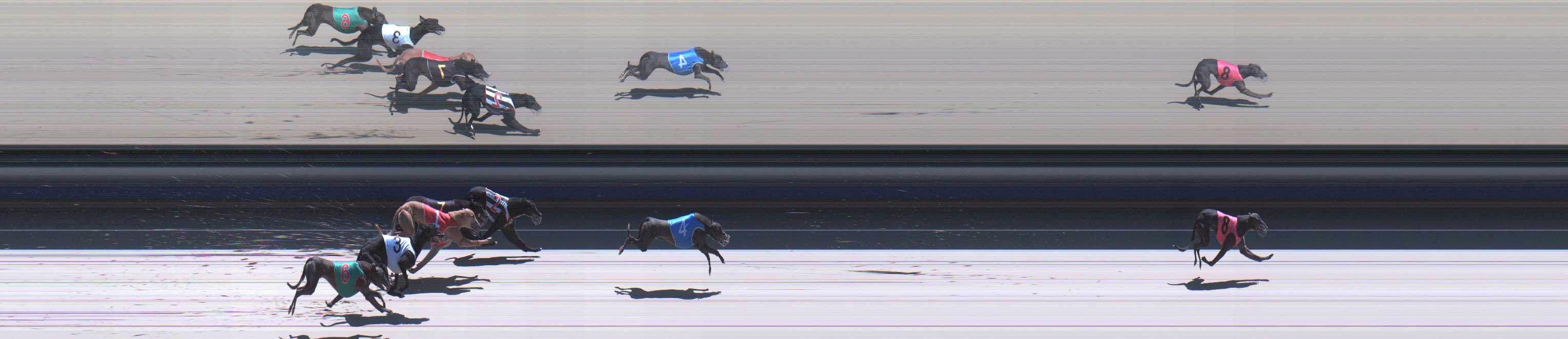Photo finish for Sale Race 3