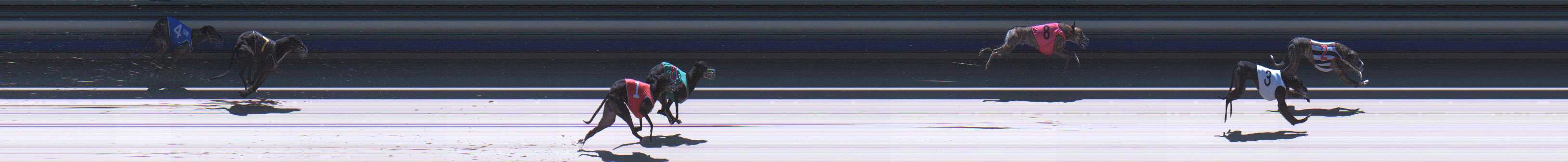 Photo finish for Sale Race 4