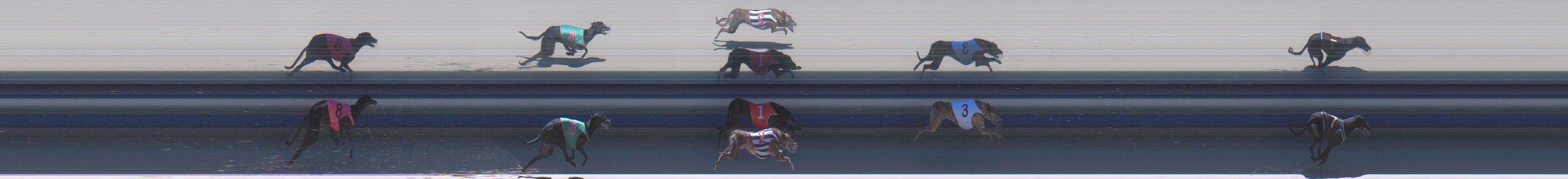 Photo finish for Sale Race 5