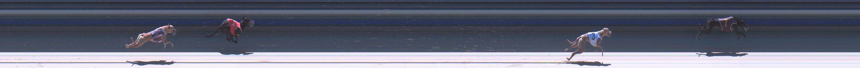 Photo finish for Sale Race 6