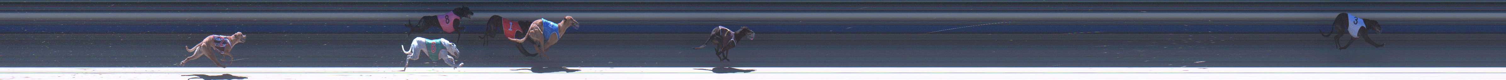 Photo finish for Sale Race 7