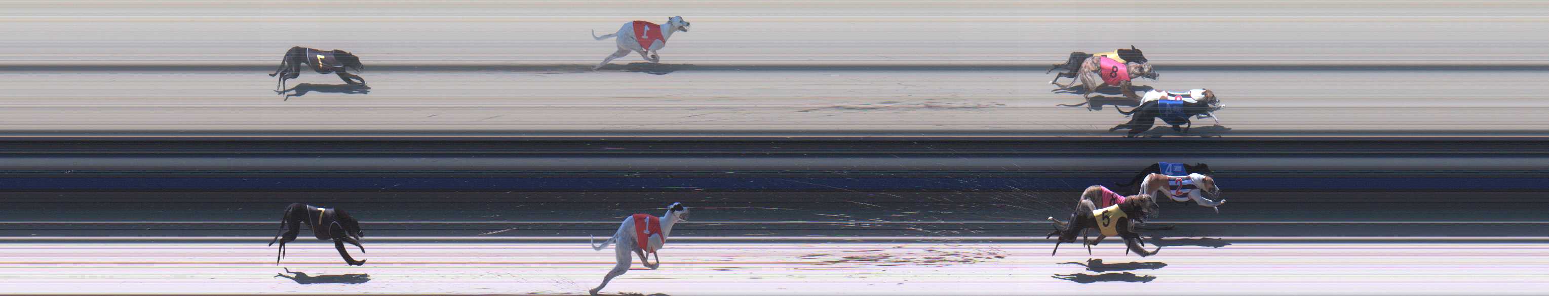 Photo finish for Sale Race 9
