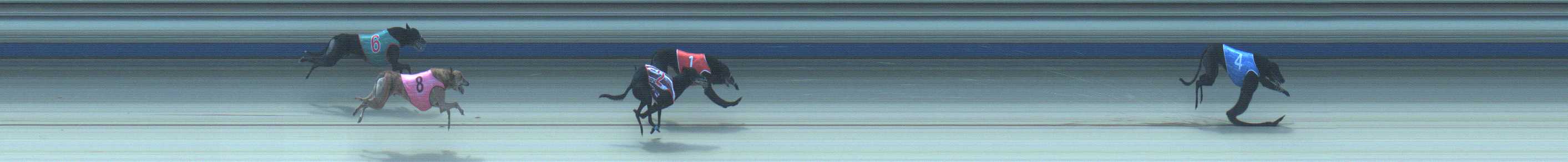 Photo finish for Sale Race 10