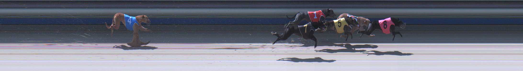 Photo finish for Sale Race 11