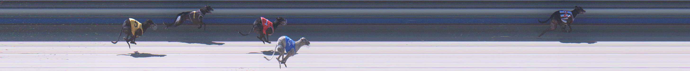 Photo finish for Sale Race 12