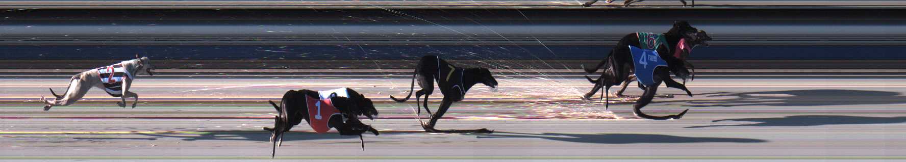 Photo finish for Sale Race 3