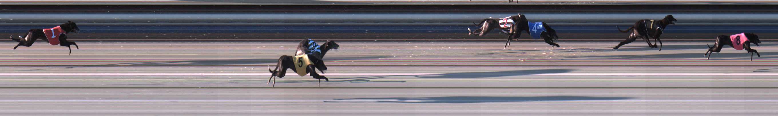 Photo finish for Sale Race 4