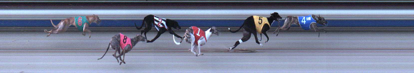 Photo finish for Sale Race 5