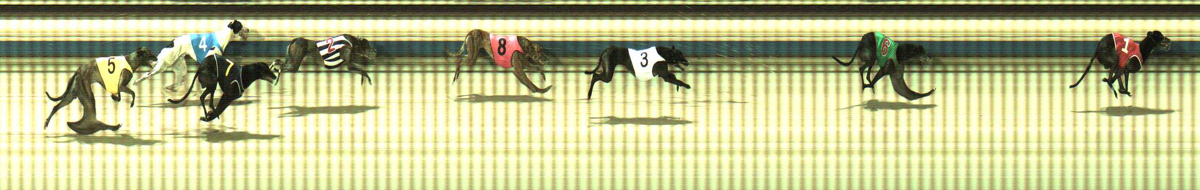 Photo finish for Sale Race 6