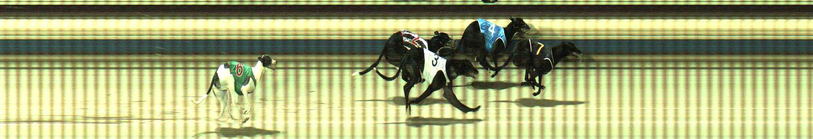 Photo finish for Sale Race 7