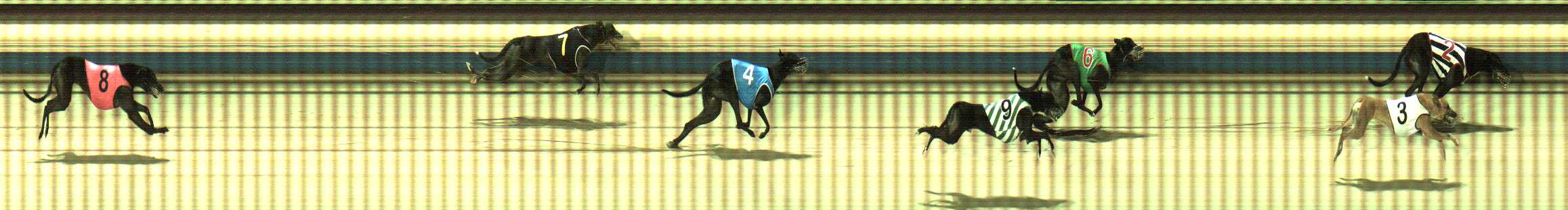 Photo finish for Sale Race 9