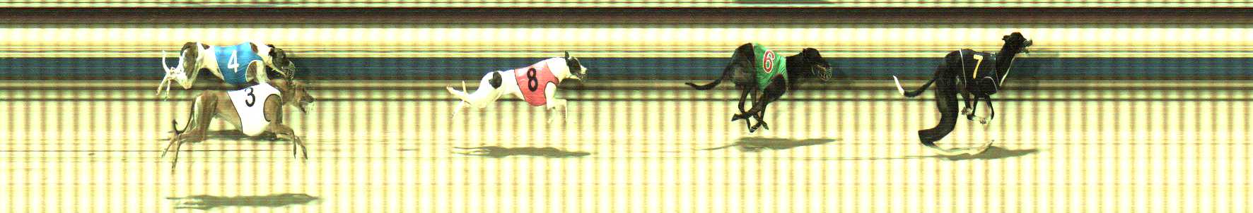 Photo finish for Sale Race 10