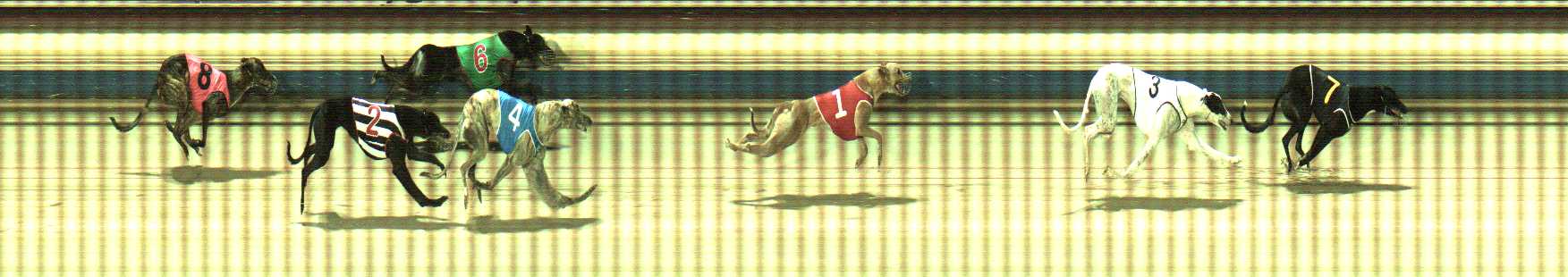 Photo finish for Sale Race 11