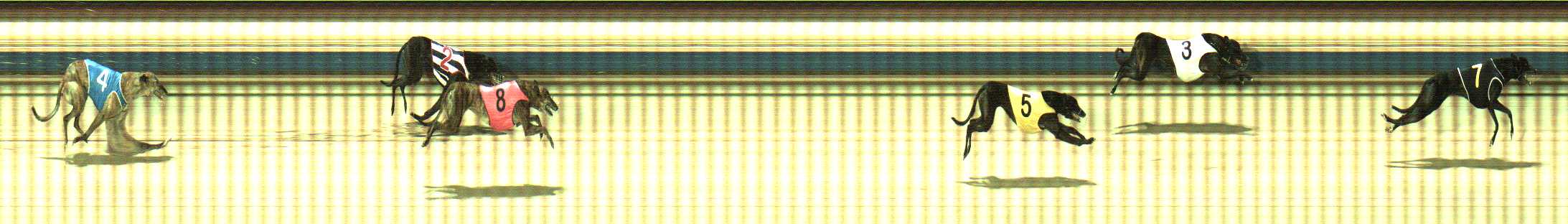 Photo finish for Sale Race 12