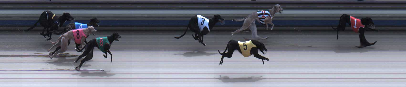 Photo finish for Sale Race 2