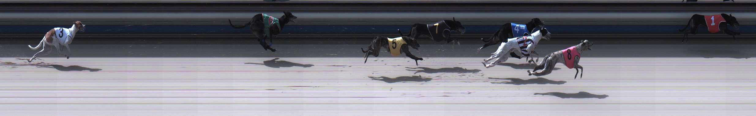 Photo finish for Sale Race 11
