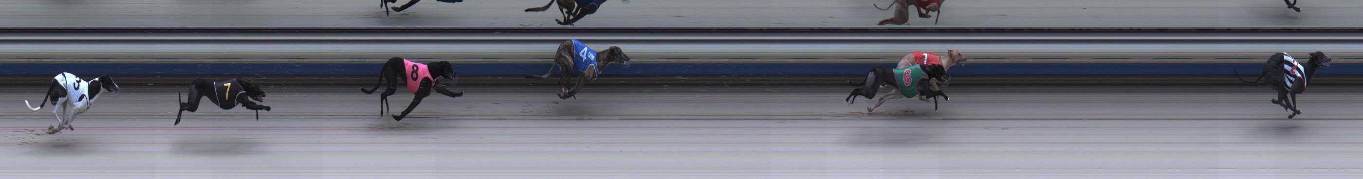 Photo finish for Sale Race 2