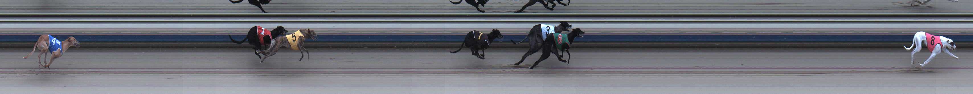 Photo finish for Sale Race 3