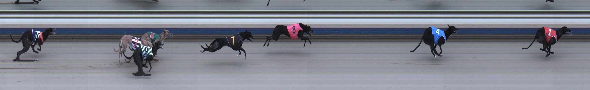 Photo finish for Sale Race 4