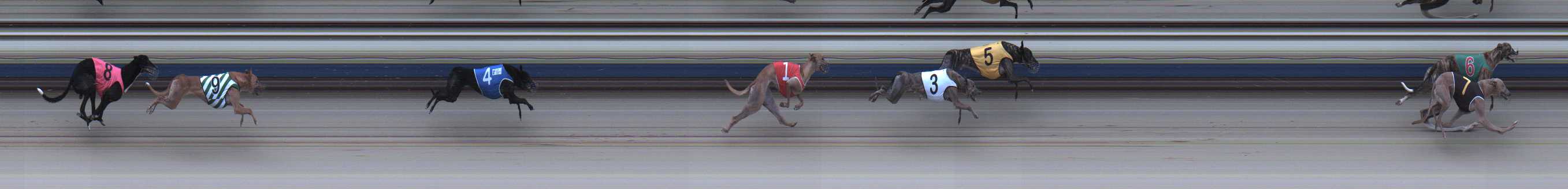 Photo finish for Sale Race 5