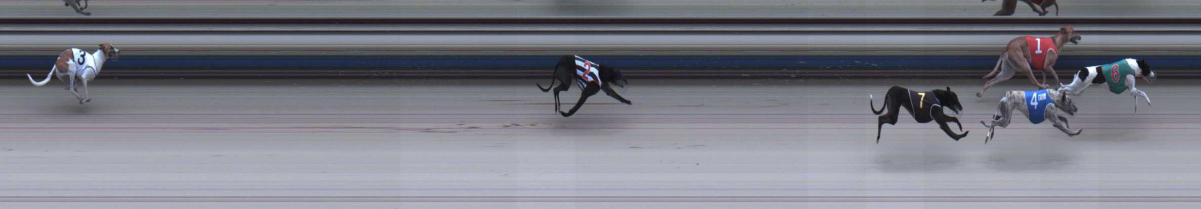 Photo finish for Sale Race 6