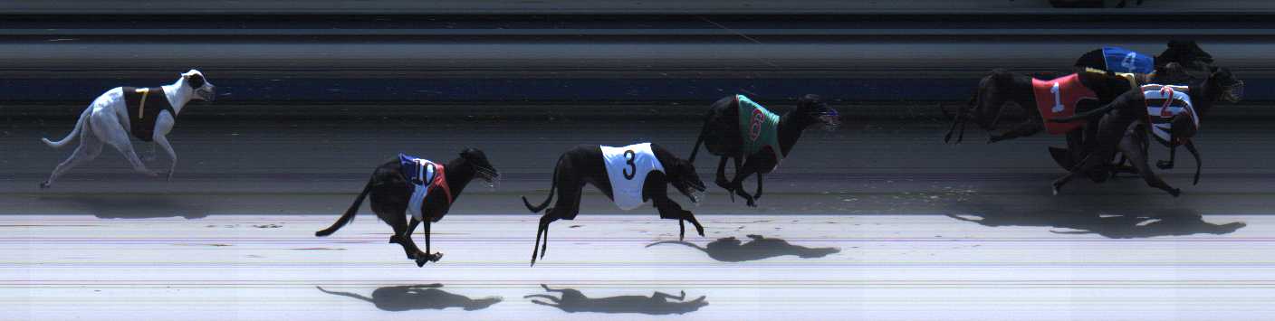 Photo finish for Sale Race 9