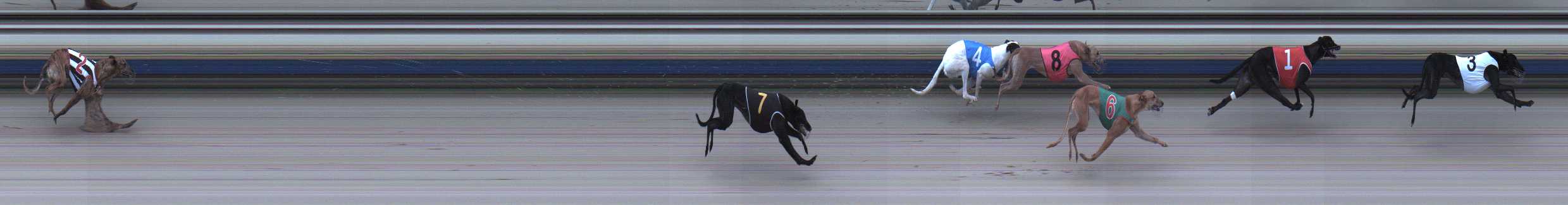 Photo finish for Sale Race 12