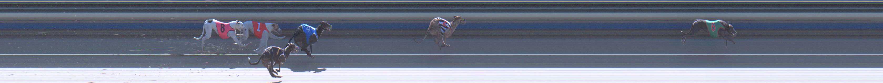 Photo finish for Sale Race 1