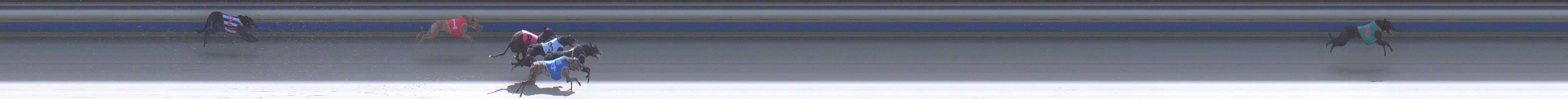 Photo finish for Sale Race 2