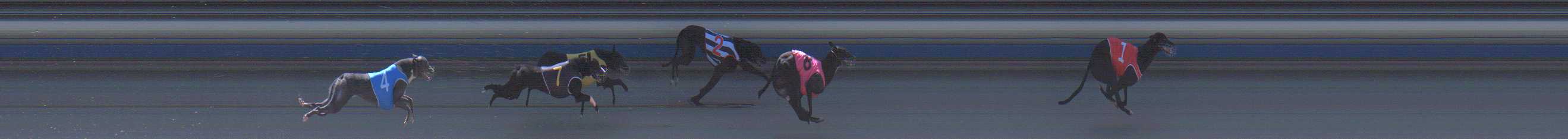 Photo finish for Sale Race 3