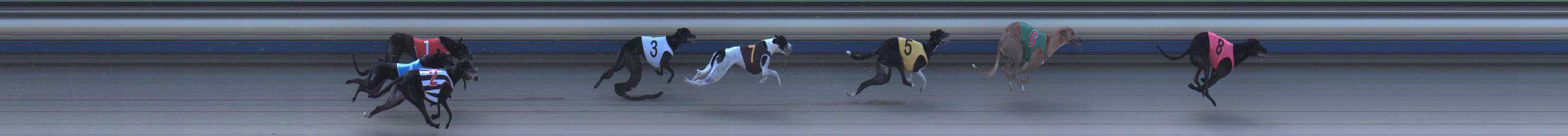 Photo finish for Sale Race 4