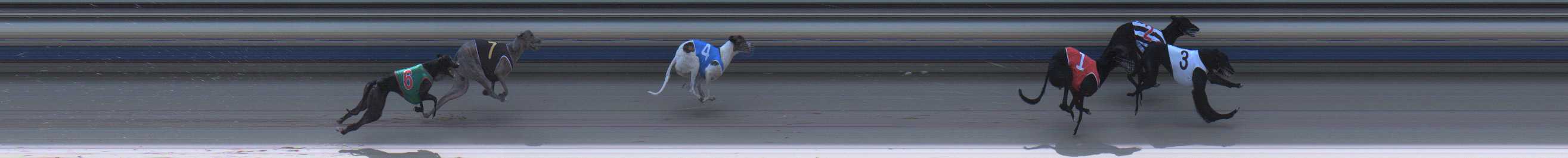 Photo finish for Sale Race 5
