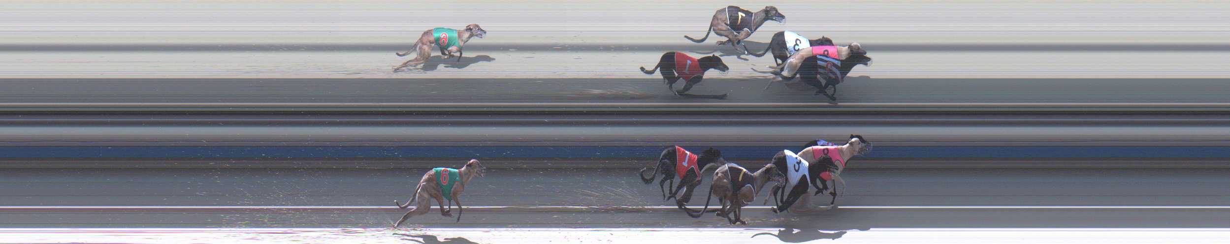 Photo finish for Sale Race 6