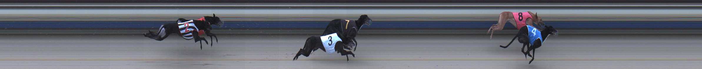 Photo finish for Sale Race 7