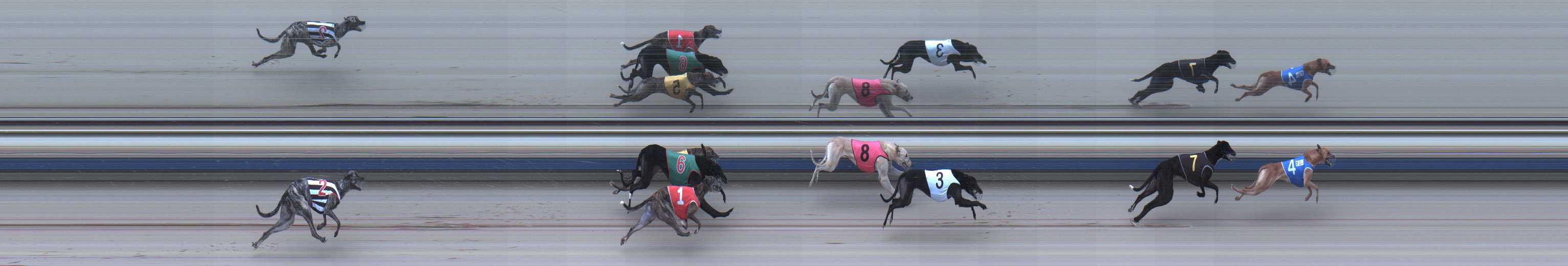 Photo finish for Sale Race 8