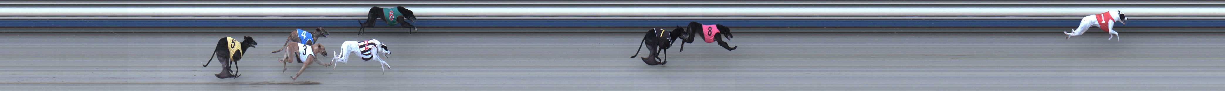 Photo finish for Sale Race 9