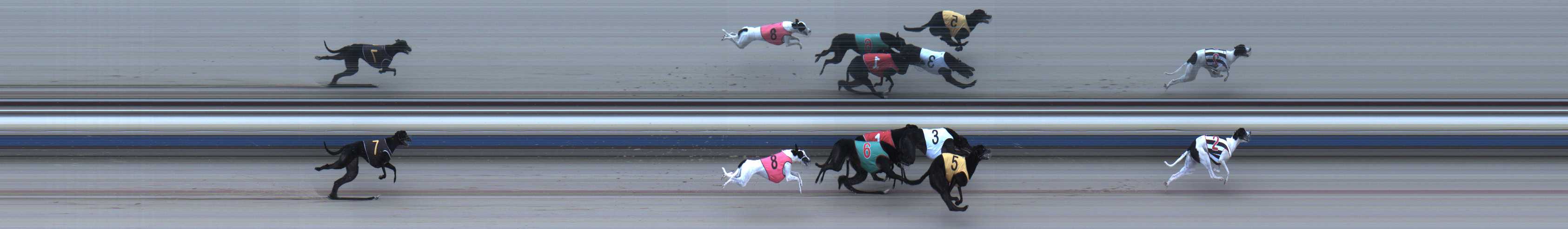 Photo finish for Sale Race 10