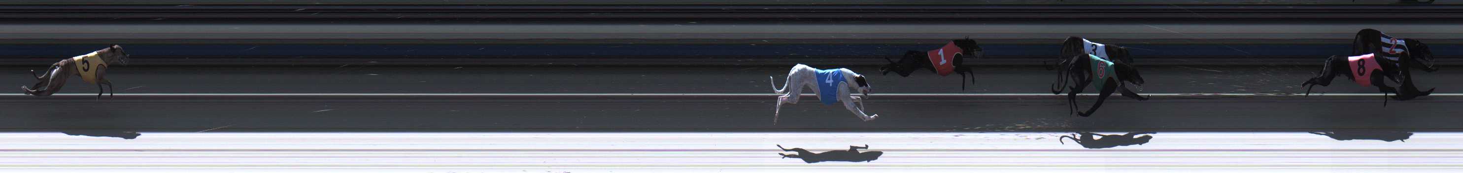 Photo finish for Sale Race 7