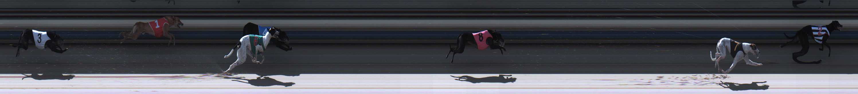 Photo finish for Sale Race 9