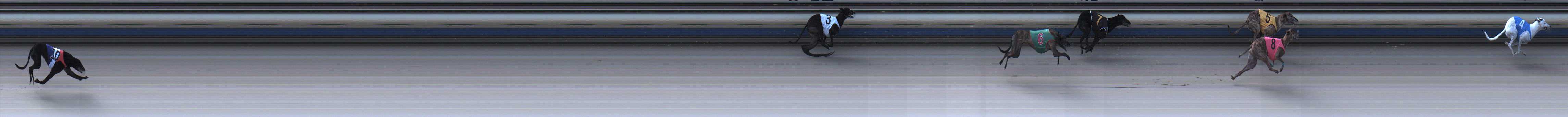 Photo finish for Sale Race 12