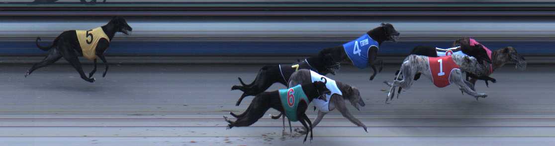 Photo finish for Sale Race 5