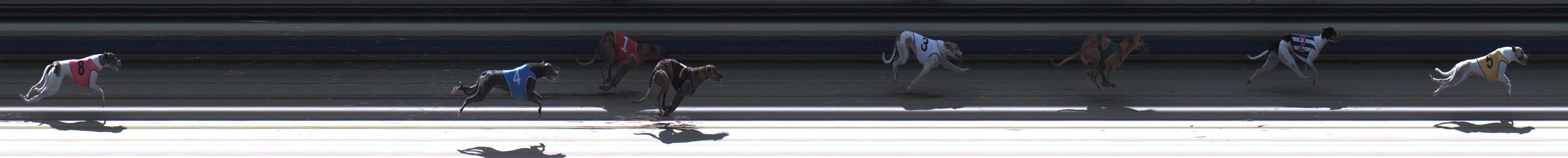 Photo finish for Sale Race 6