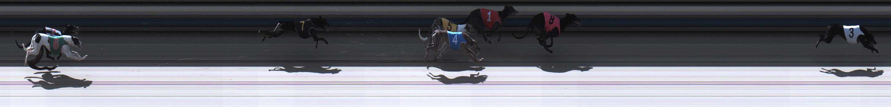 Photo finish for Sale Race 8