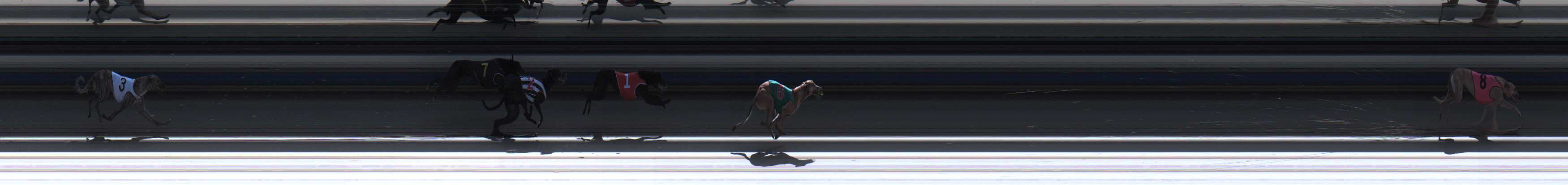 Photo finish for Sale Race 2