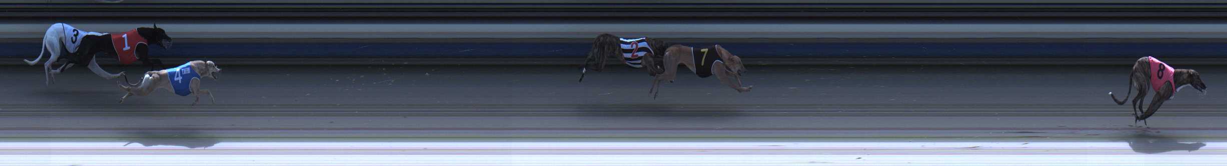 Photo finish for Sale Race 4