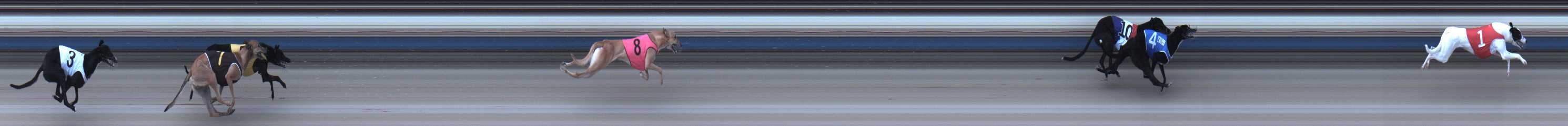 Photo finish for Sale Race 1