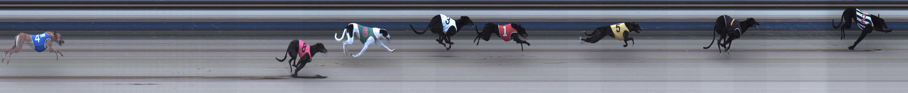 Photo finish for Sale Race 2