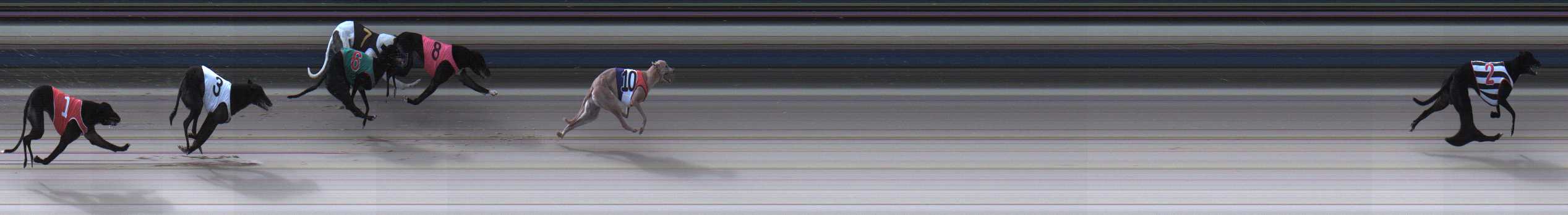 Photo finish for Sale Race 3