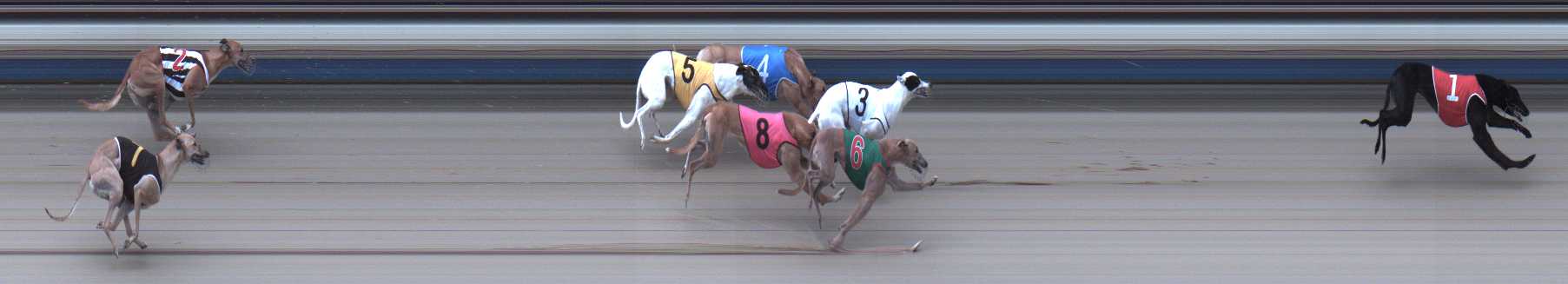 Photo finish for Sale Race 4